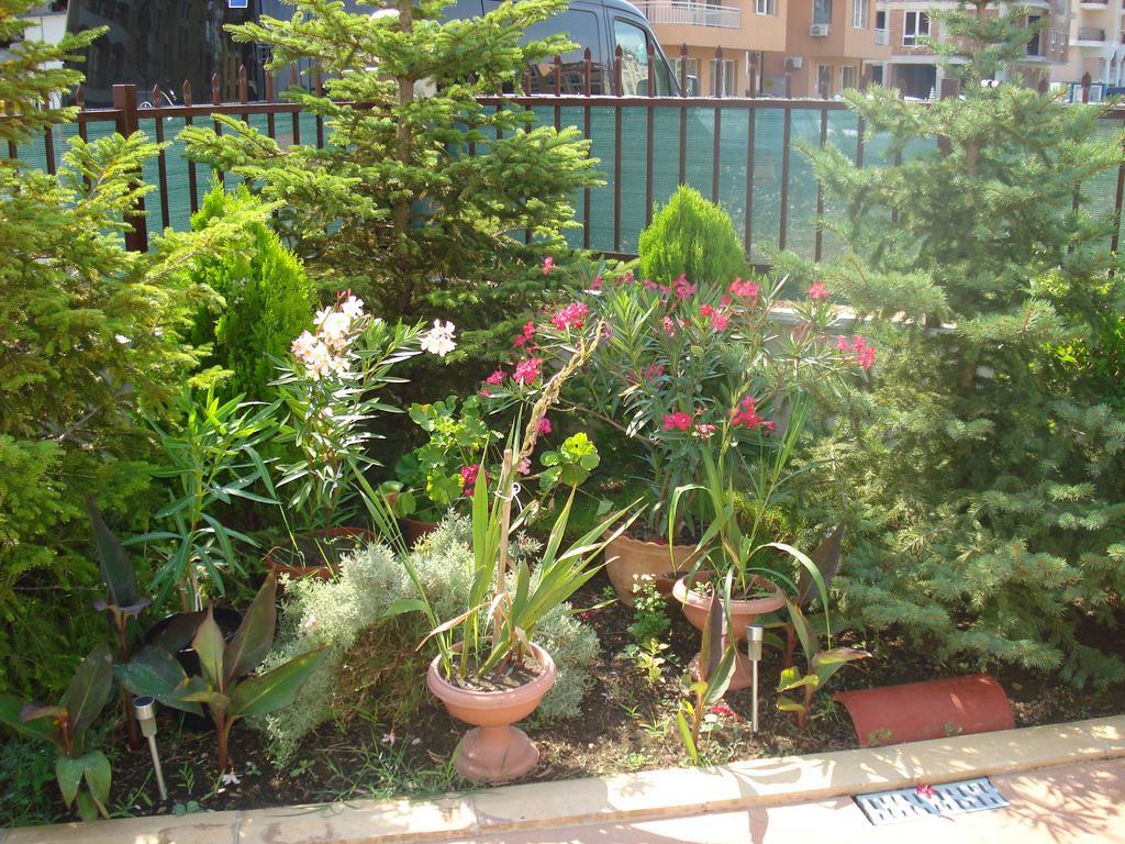 Summer Breeze Apartments Pantai Sunny Luaran gambar